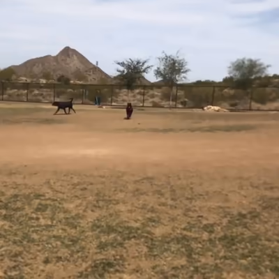 Dog Park at Deem Hills Recreation Area photo 1